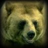 Blondbear