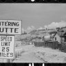 Butte Griz