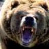 SCGRIZ