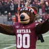GriznMN