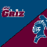 Grizzlebeard