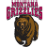 Grizzlies1982