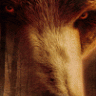 Horribilis Rex