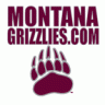 montanagrizzlies.com