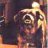 Cujo