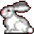 89rabbit