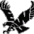 eagle1