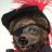 GrizPirate