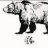 Gallatin Griz