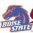 BroncoGriz