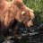 hardycreek1