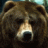 midwesterngriz