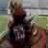 griznation23